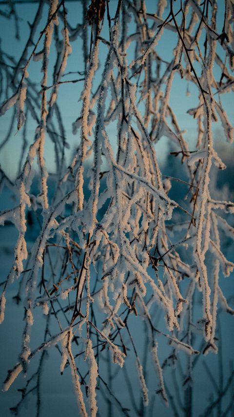 Download wallpaper 2160x3840 branches, snow, winter, frost samsung galaxy s4, s5, note, sony xperia z, z1, z2, z3, htc one, lenovo vibe hd background