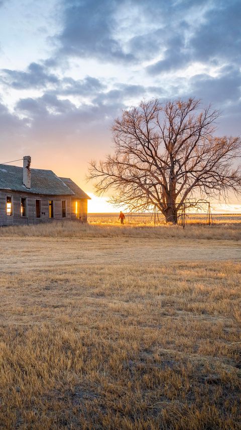 Download wallpaper 2160x3840 building, man, tree, field, sunset, nature samsung galaxy s4, s5, note, sony xperia z, z1, z2, z3, htc one, lenovo vibe hd background