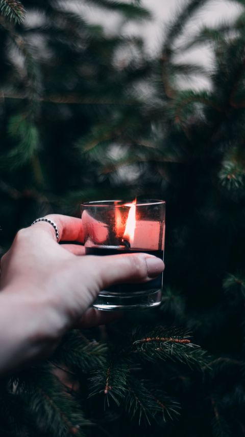 Download wallpaper 2160x3840 candle, hand, branches, spruce samsung galaxy s4, s5, note, sony xperia z, z1, z2, z3, htc one, lenovo vibe hd background