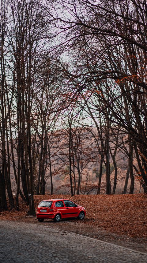 Download wallpaper 2160x3840 car, red, nature, autumn samsung galaxy s4, s5, note, sony xperia z, z1, z2, z3, htc one, lenovo vibe hd background