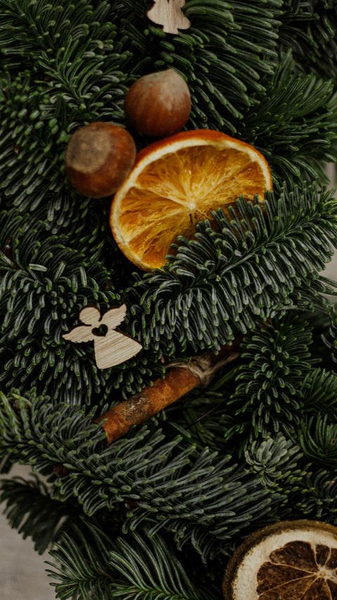 Download wallpaper 2160x3840 christmas tree, oranges, slices, nuts, decorations, new year, christmas samsung galaxy s4, s5, note, sony xperia z, z1, z2, z3, htc one, lenovo vibe hd background