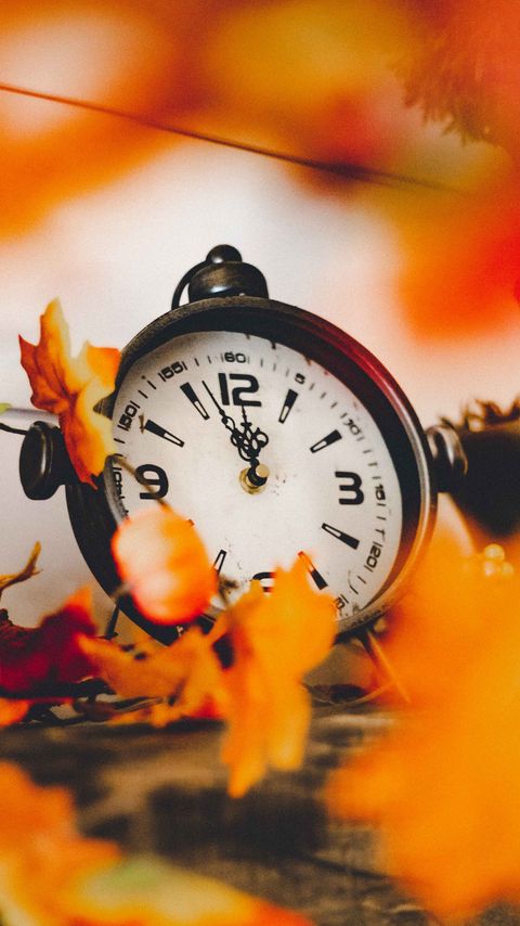 Download wallpaper 2160x3840 clock, dial, leaves, yellow samsung galaxy s4, s5, note, sony xperia z, z1, z2, z3, htc one, lenovo vibe hd background