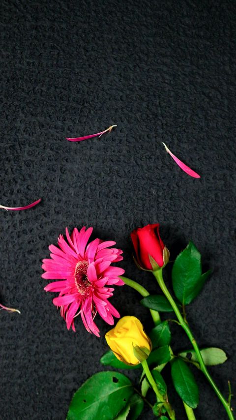 Download wallpaper 2160x3840 flowers, bouquet, petals, pink, red, yellow samsung galaxy s4, s5, note, sony xperia z, z1, z2, z3, htc one, lenovo vibe hd background