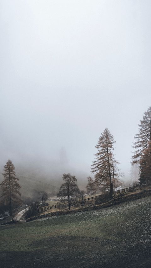 Download wallpaper 2160x3840 fog, trees, fence, hill, nature samsung galaxy s4, s5, note, sony xperia z, z1, z2, z3, htc one, lenovo vibe hd background