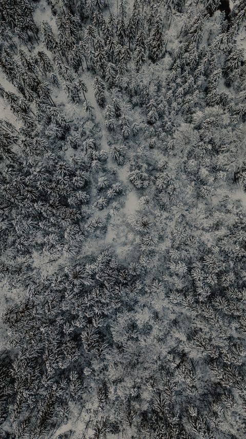 Download wallpaper 2160x3840 forest, aerial view, snow, winter samsung galaxy s4, s5, note, sony xperia z, z1, z2, z3, htc one, lenovo vibe hd background
