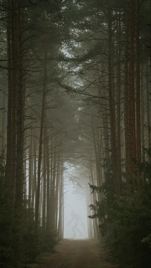 Download wallpaper 2160x3840 forest, fog, monster, silhouette samsung galaxy s4, s5, note, sony xperia z, z1, z2, z3, htc one, lenovo vibe hd background