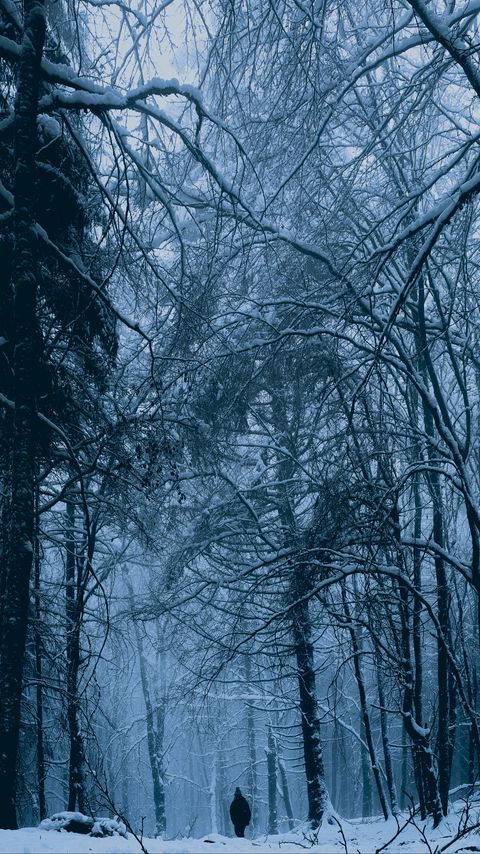 Download wallpaper 2160x3840 forest, man, alone, snow, winter samsung galaxy s4, s5, note, sony xperia z, z1, z2, z3, htc one, lenovo vibe hd background