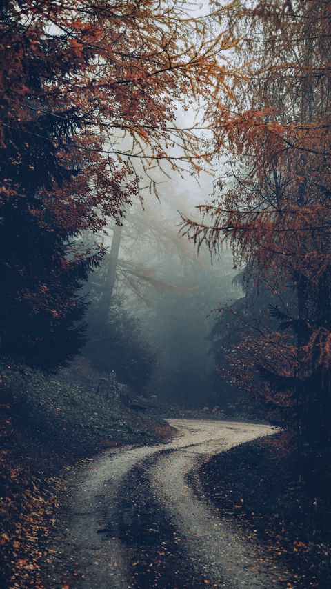 Download wallpaper 2160x3840 forest, road, fog, trees, autumn, nature samsung galaxy s4, s5, note, sony xperia z, z1, z2, z3, htc one, lenovo vibe hd background