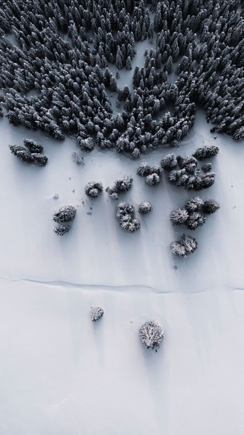 Download wallpaper 2160x3840 forest, snow, aerial view, winter, white samsung galaxy s4, s5, note, sony xperia z, z1, z2, z3, htc one, lenovo vibe hd background