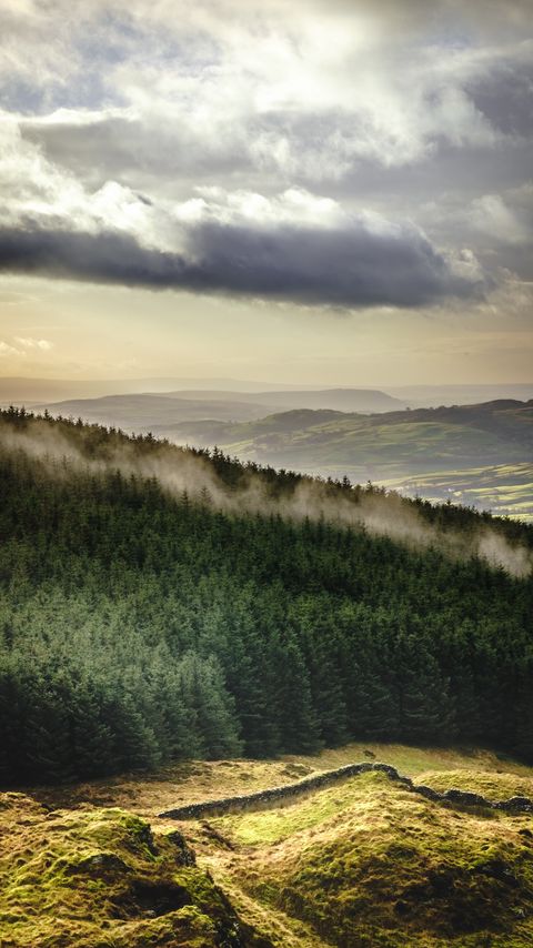 Download wallpaper 2160x3840 forest, trees, mountains, clouds, landscape, overview samsung galaxy s4, s5, note, sony xperia z, z1, z2, z3, htc one, lenovo vibe hd background