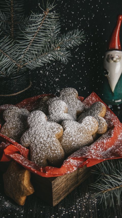 Download wallpaper 2160x3840 gingerbread, cookies, powder, branches, needles, holiday samsung galaxy s4, s5, note, sony xperia z, z1, z2, z3, htc one, lenovo vibe hd background