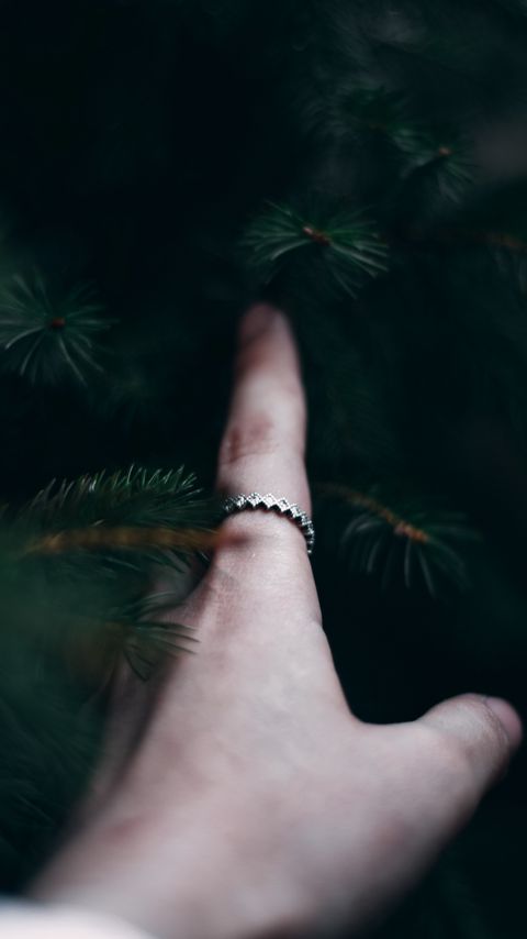Download wallpaper 2160x3840 hand, branches, spruce, finger, touch samsung galaxy s4, s5, note, sony xperia z, z1, z2, z3, htc one, lenovo vibe hd background
