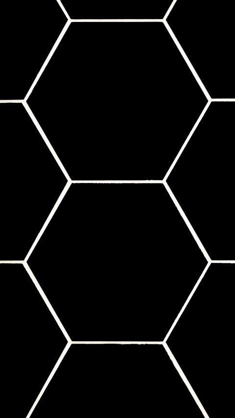 Download wallpaper 2160x3840 hexagons, mesh, texture, black samsung galaxy s4, s5, note, sony xperia z, z1, z2, z3, htc one, lenovo vibe hd background