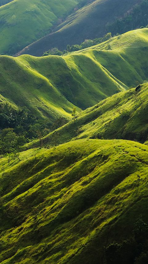 Download wallpaper 2160x3840 hills, relief, greenery, trees, nature, landscape samsung galaxy s4, s5, note, sony xperia z, z1, z2, z3, htc one, lenovo vibe hd background