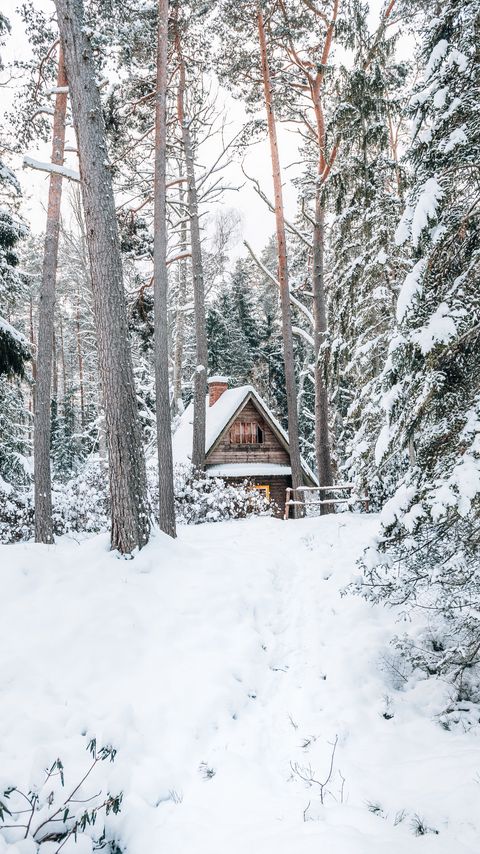 Download wallpaper 2160x3840 house, forest, snow, nature, winter samsung galaxy s4, s5, note, sony xperia z, z1, z2, z3, htc one, lenovo vibe hd background