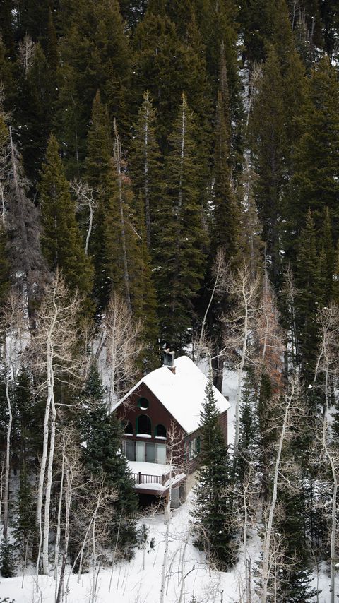 Download wallpaper 2160x3840 house, forest, snow, aerial view, solitude samsung galaxy s4, s5, note, sony xperia z, z1, z2, z3, htc one, lenovo vibe hd background