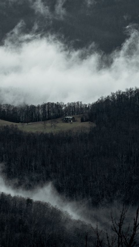 Download wallpaper 2160x3840 house, mountains, forest, clouds, nature samsung galaxy s4, s5, note, sony xperia z, z1, z2, z3, htc one, lenovo vibe hd background
