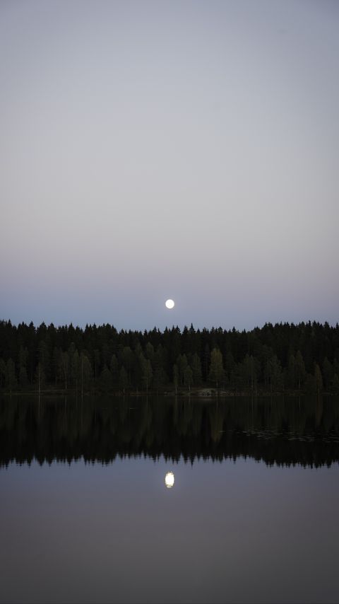 Download wallpaper 2160x3840 lake, forest, moon, reflection, water, landscape samsung galaxy s4, s5, note, sony xperia z, z1, z2, z3, htc one, lenovo vibe hd background