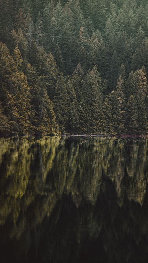 Download wallpaper 2160x3840 lake, forest, trees, reflection samsung galaxy s4, s5, note, sony xperia z, z1, z2, z3, htc one, lenovo vibe hd background
