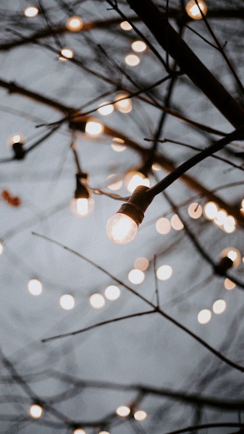 Download wallpaper 2160x3840 light bulbs, garlands, branches, light, decoration samsung galaxy s4, s5, note, sony xperia z, z1, z2, z3, htc one, lenovo vibe hd background