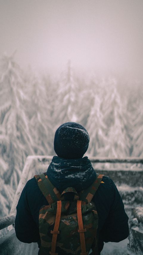 Download wallpaper 2160x3840 man, backpack, snow, winter, nature samsung galaxy s4, s5, note, sony xperia z, z1, z2, z3, htc one, lenovo vibe hd background