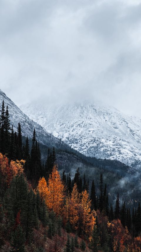 Download wallpaper 2160x3840 mountain, peak, snow, forest, trees, clouds, landscape samsung galaxy s4, s5, note, sony xperia z, z1, z2, z3, htc one, lenovo vibe hd background