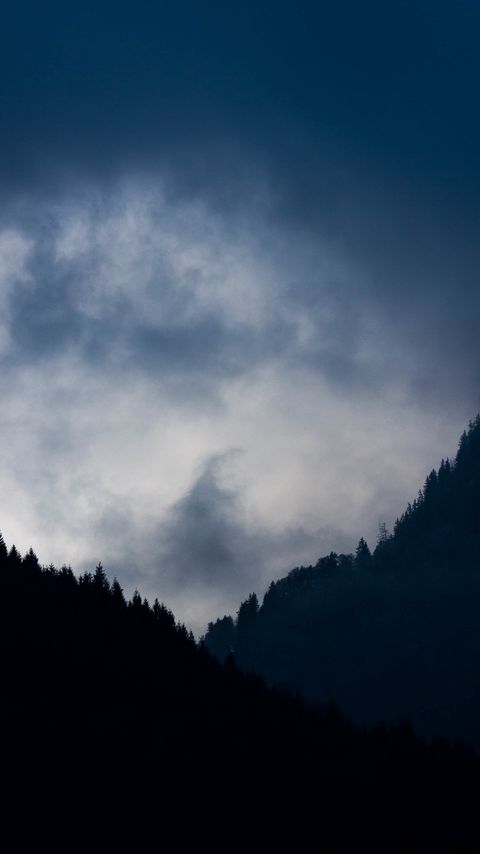 Download wallpaper 2160x3840 mountains, forest, clouds, dusk, landscape samsung galaxy s4, s5, note, sony xperia z, z1, z2, z3, htc one, lenovo vibe hd background