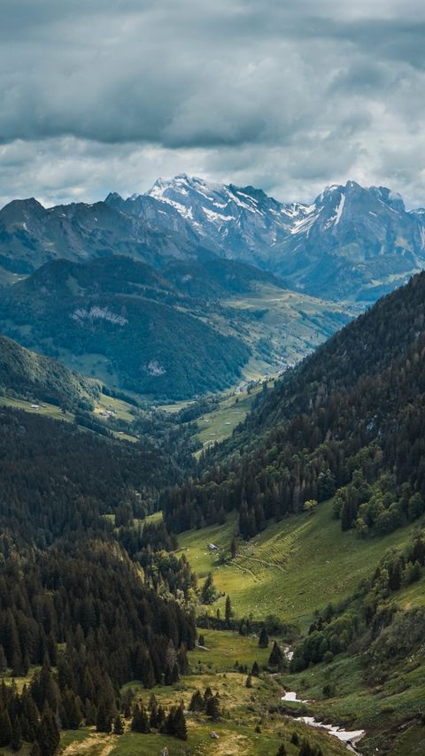 Download wallpaper 2160x3840 mountains, hills, trees, nature, landscape samsung galaxy s4, s5, note, sony xperia z, z1, z2, z3, htc one, lenovo vibe hd background