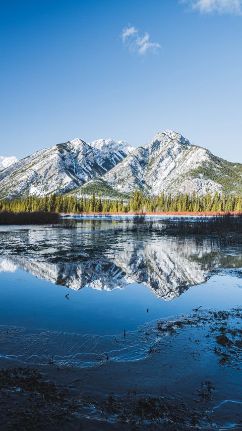 Download wallpaper 2160x3840 mountains, lake, reflection, trees, nature, landscape samsung galaxy s4, s5, note, sony xperia z, z1, z2, z3, htc one, lenovo vibe hd background