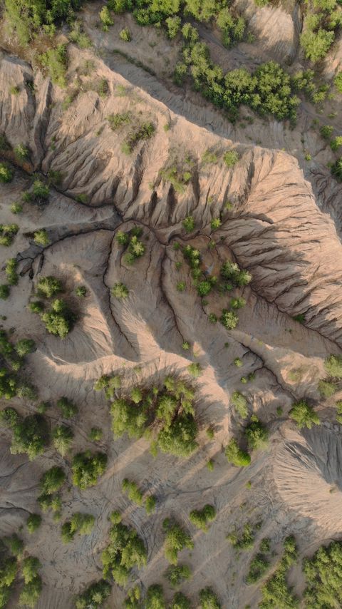 Download wallpaper 2160x3840 mountains, trees, aerial view, relief samsung galaxy s4, s5, note, sony xperia z, z1, z2, z3, htc one, lenovo vibe hd background