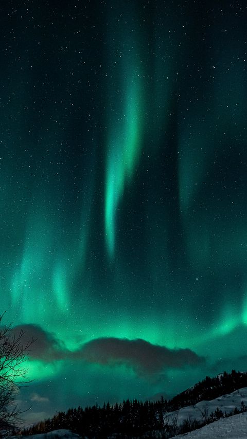 Download wallpaper 2160x3840 northern lights, night, snow, nature, winter samsung galaxy s4, s5, note, sony xperia z, z1, z2, z3, htc one, lenovo vibe hd background