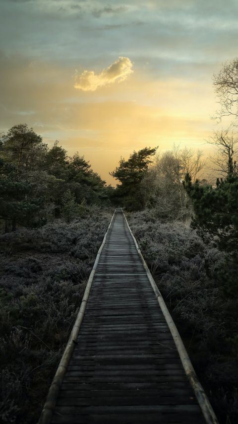 Download wallpaper 2160x3840 path, trees, bushes, sunset, nature samsung galaxy s4, s5, note, sony xperia z, z1, z2, z3, htc one, lenovo vibe hd background