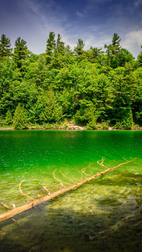 Download wallpaper 2160x3840 river, coast, trees, nature, landscape, green samsung galaxy s4, s5, note, sony xperia z, z1, z2, z3, htc one, lenovo vibe hd background