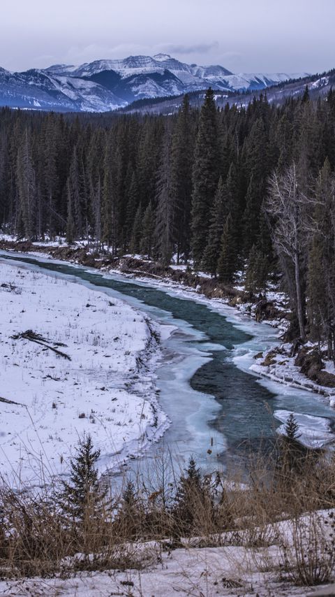 Download wallpaper 2160x3840 river, forest, mountains, snow, landscape samsung galaxy s4, s5, note, sony xperia z, z1, z2, z3, htc one, lenovo vibe hd background