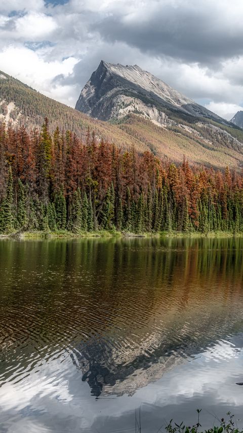 Download wallpaper 2160x3840 river, mountains, forest, coast, landscape samsung galaxy s4, s5, note, sony xperia z, z1, z2, z3, htc one, lenovo vibe hd background