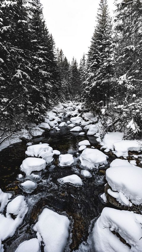 Download wallpaper 2160x3840 river, snow, trees, stones, water, winter samsung galaxy s4, s5, note, sony xperia z, z1, z2, z3, htc one, lenovo vibe hd background
