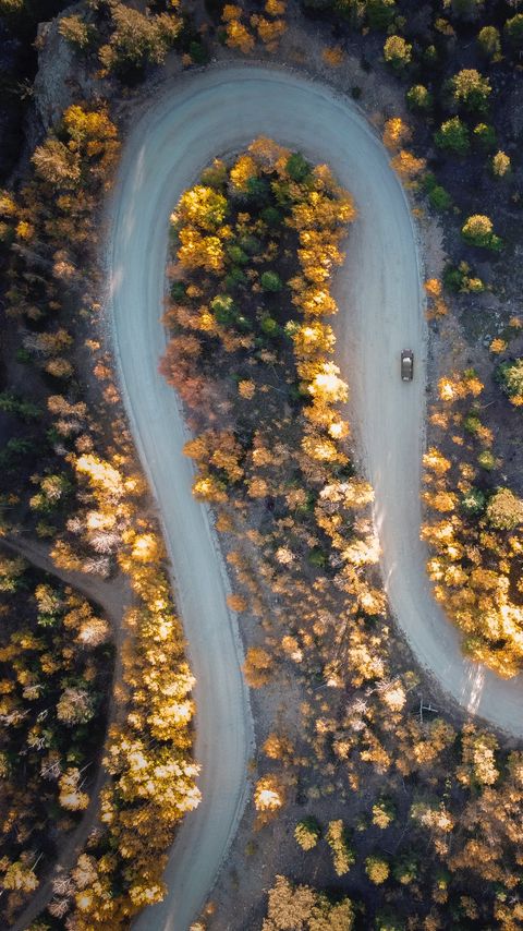 Download wallpaper 2160x3840 road, car, aerial view, trees, turn samsung galaxy s4, s5, note, sony xperia z, z1, z2, z3, htc one, lenovo vibe hd background