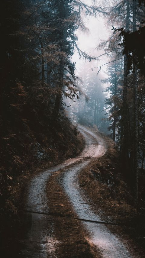 Download wallpaper 2160x3840 road, forest, fog, pines, trees samsung galaxy s4, s5, note, sony xperia z, z1, z2, z3, htc one, lenovo vibe hd background