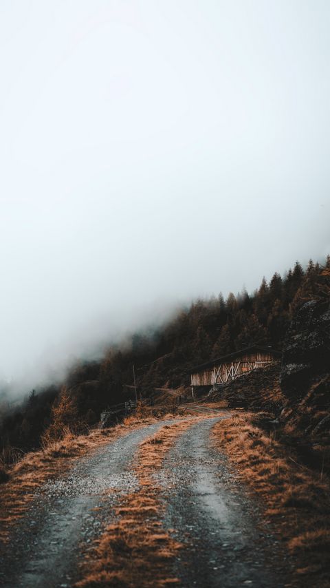 Download wallpaper 2160x3840 road, slope, trees, building, cloud samsung galaxy s4, s5, note, sony xperia z, z1, z2, z3, htc one, lenovo vibe hd background