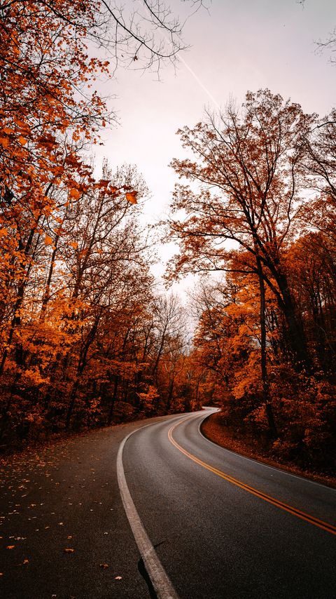 Download wallpaper 2160x3840 road, turn, trees, autumn, fallen leaves, nature samsung galaxy s4, s5, note, sony xperia z, z1, z2, z3, htc one, lenovo vibe hd background
