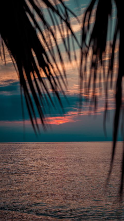 Download wallpaper 2160x3840 sea, sunset, dusk, palms, branches samsung galaxy s4, s5, note, sony xperia z, z1, z2, z3, htc one, lenovo vibe hd background