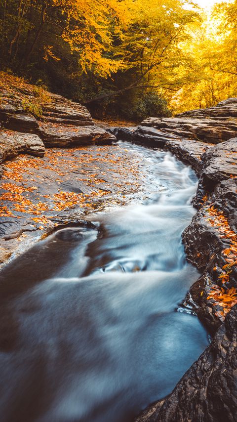 Download wallpaper 2160x3840 stream, water, fallen leaves, trees, autumn samsung galaxy s4, s5, note, sony xperia z, z1, z2, z3, htc one, lenovo vibe hd background