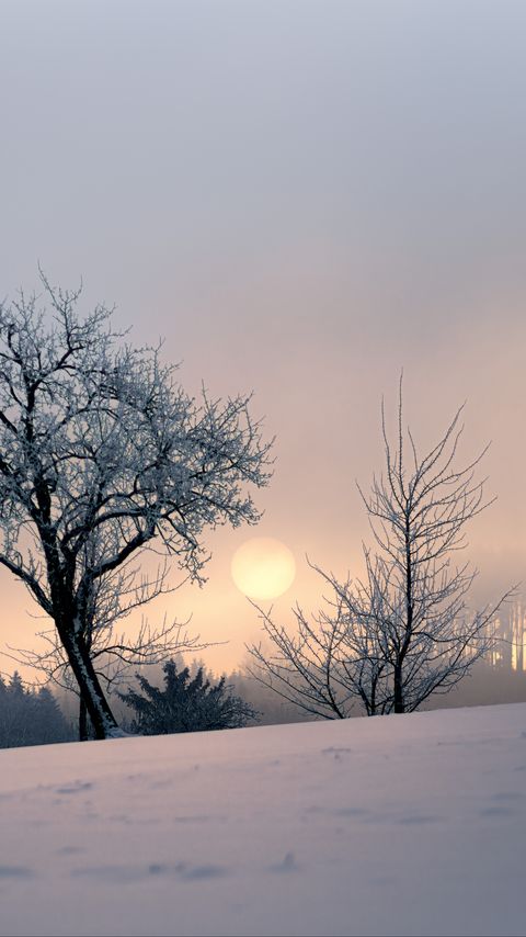Download wallpaper 2160x3840 sunset, trees, snow, winter, evening, nature samsung galaxy s4, s5, note, sony xperia z, z1, z2, z3, htc one, lenovo vibe hd background