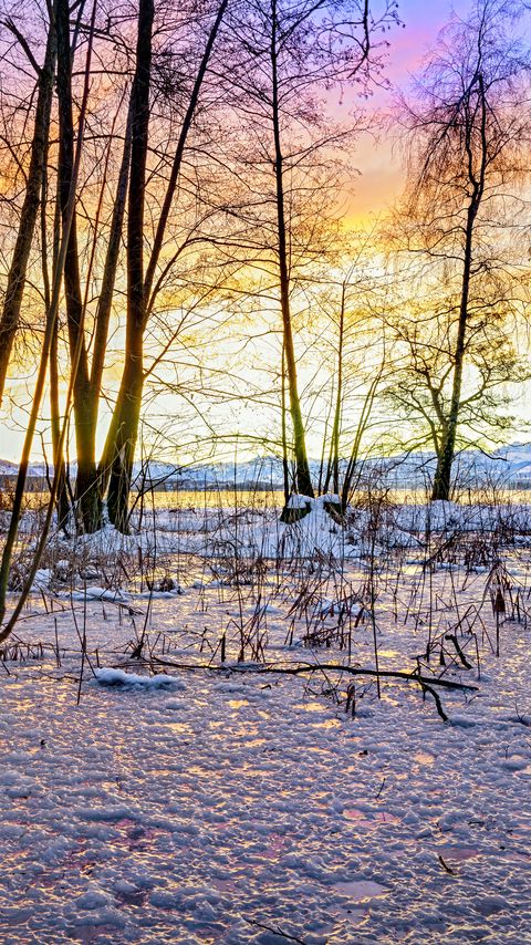 Download wallpaper 2160x3840 sunset, winter, snow, ice, trees, nature samsung galaxy s4, s5, note, sony xperia z, z1, z2, z3, htc one, lenovo vibe hd background