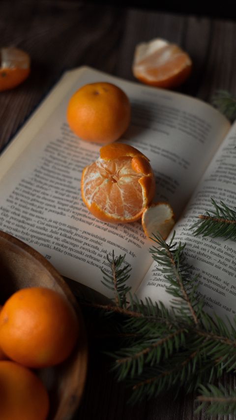 Download wallpaper 2160x3840 tangerines, book, branches, spruce, fruit, citrus samsung galaxy s4, s5, note, sony xperia z, z1, z2, z3, htc one, lenovo vibe hd background
