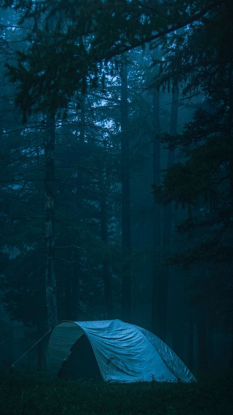 Download wallpaper 2160x3840 tent, forest, fog, camping, nature samsung galaxy s4, s5, note, sony xperia z, z1, z2, z3, htc one, lenovo vibe hd background