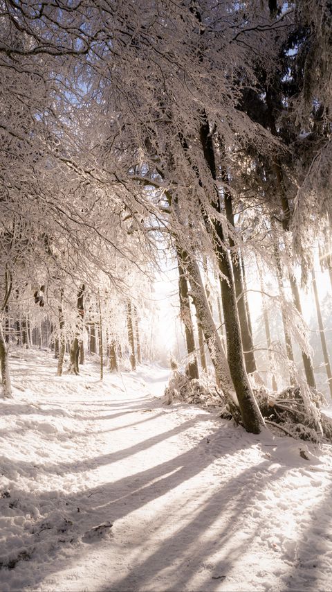 Download wallpaper 2160x3840 trees, snow, light, path, winter, nature samsung galaxy s4, s5, note, sony xperia z, z1, z2, z3, htc one, lenovo vibe hd background