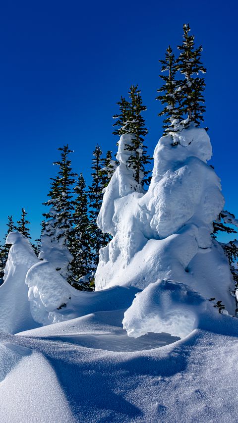 Download wallpaper 2160x3840 trees, snow, snowdrifts, winter, nature samsung galaxy s4, s5, note, sony xperia z, z1, z2, z3, htc one, lenovo vibe hd background