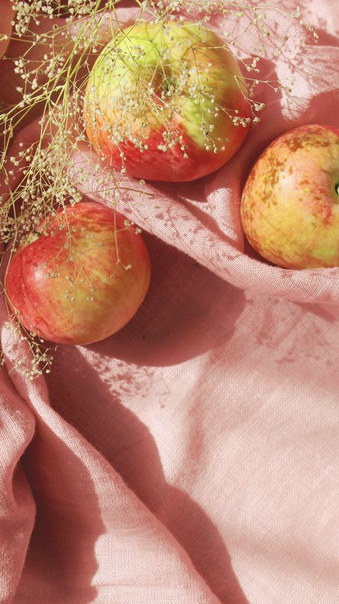 Download wallpaper 2160x3840 apples, fruit, branch, fabric, pink samsung galaxy s4, s5, note, sony xperia z, z1, z2, z3, htc one, lenovo vibe hd background