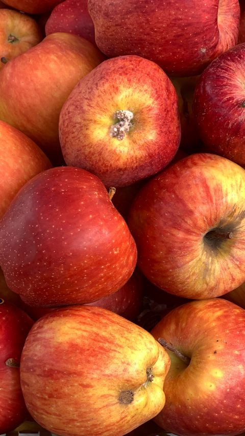 Download wallpaper 2160x3840 apples, fruit, fresh, ripe, red samsung galaxy s4, s5, note, sony xperia z, z1, z2, z3, htc one, lenovo vibe hd background